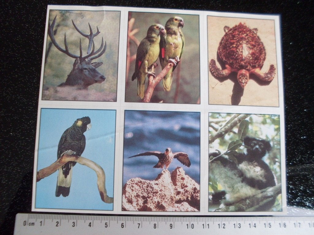 6x panini sticker WWF threatened animals 56 151 154 157 236, Verzenden, Zo goed als nieuw, Dier en Natuur