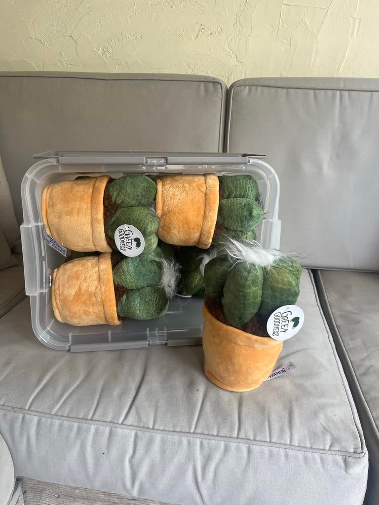 Superleuke, nieuwe cactus-knuffels, Ophalen of Verzenden, Zo goed als nieuw, Jongen of Meisje