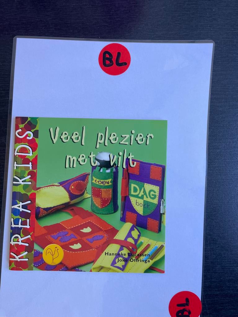 Krea Kids: Veel plezier met vilt - Boek, Hobby en Vrije tijd, Vilt, Ophalen of Verzenden, Zo goed als nieuw, Boek of Patroon