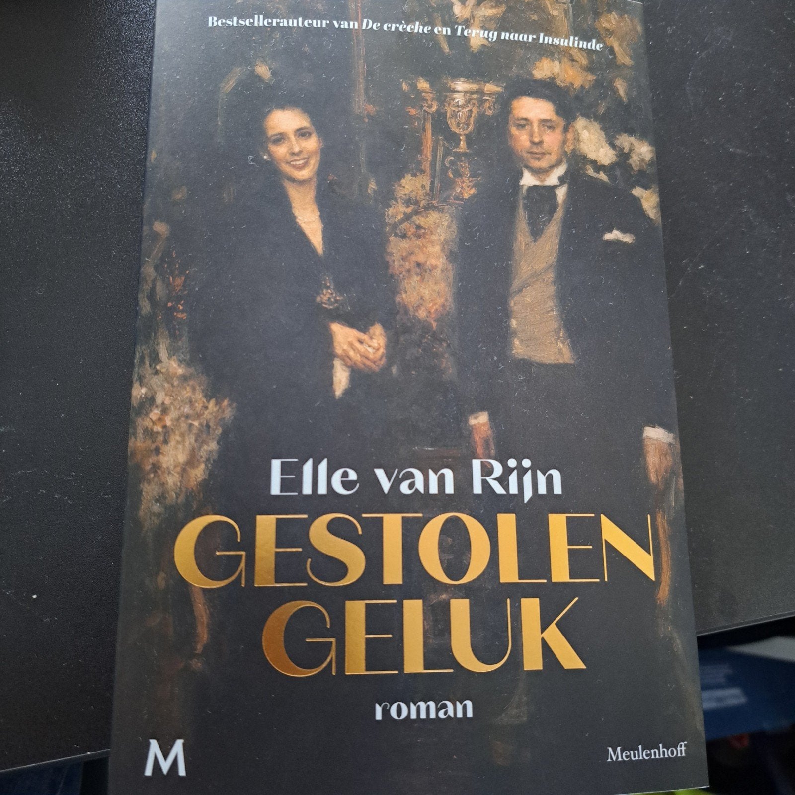 Gestolen Geluk - Roman van Elle van Rijn, Ophalen of Verzenden, Zo goed als nieuw, Elle van Rijn