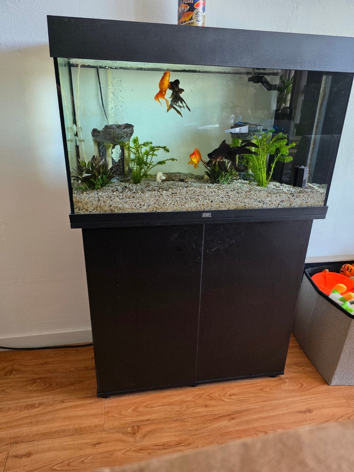 Juwel rio 125 met 4 sluierstaarten/telescoop, Dieren en Toebehoren, Ophalen, Zo goed als nieuw, Leeg aquarium, Inclusief vissen