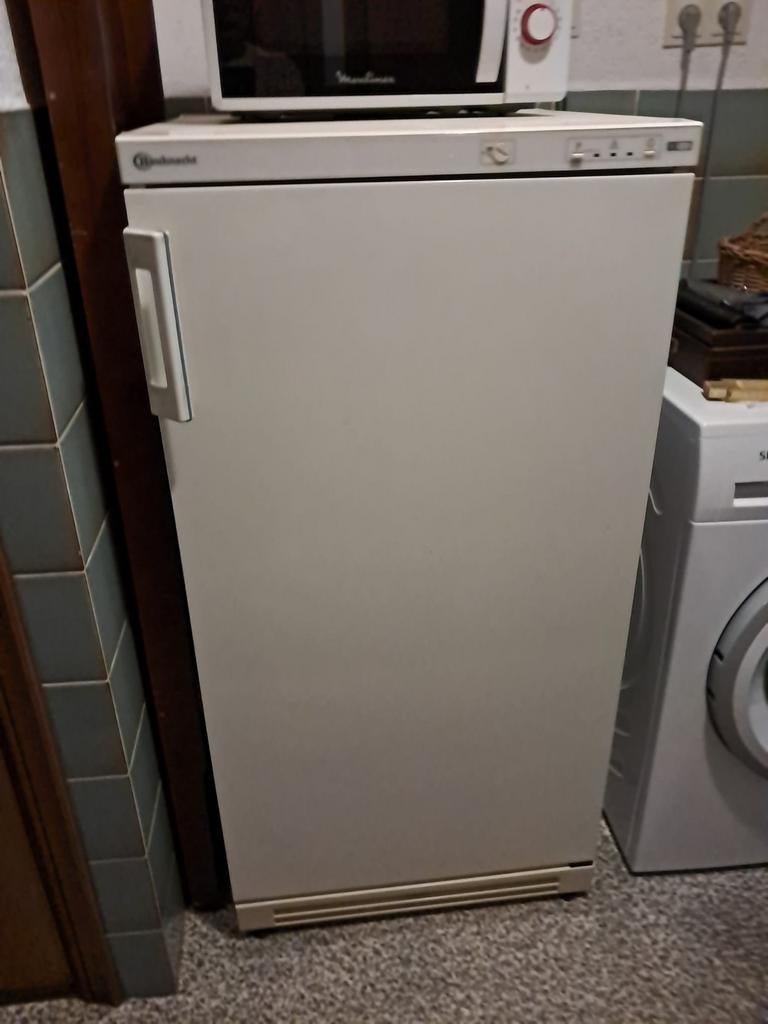 Bauknecht vrieskast, Ophalen, Gebruikt, Minder dan 60 cm, 120 tot 140 cm
