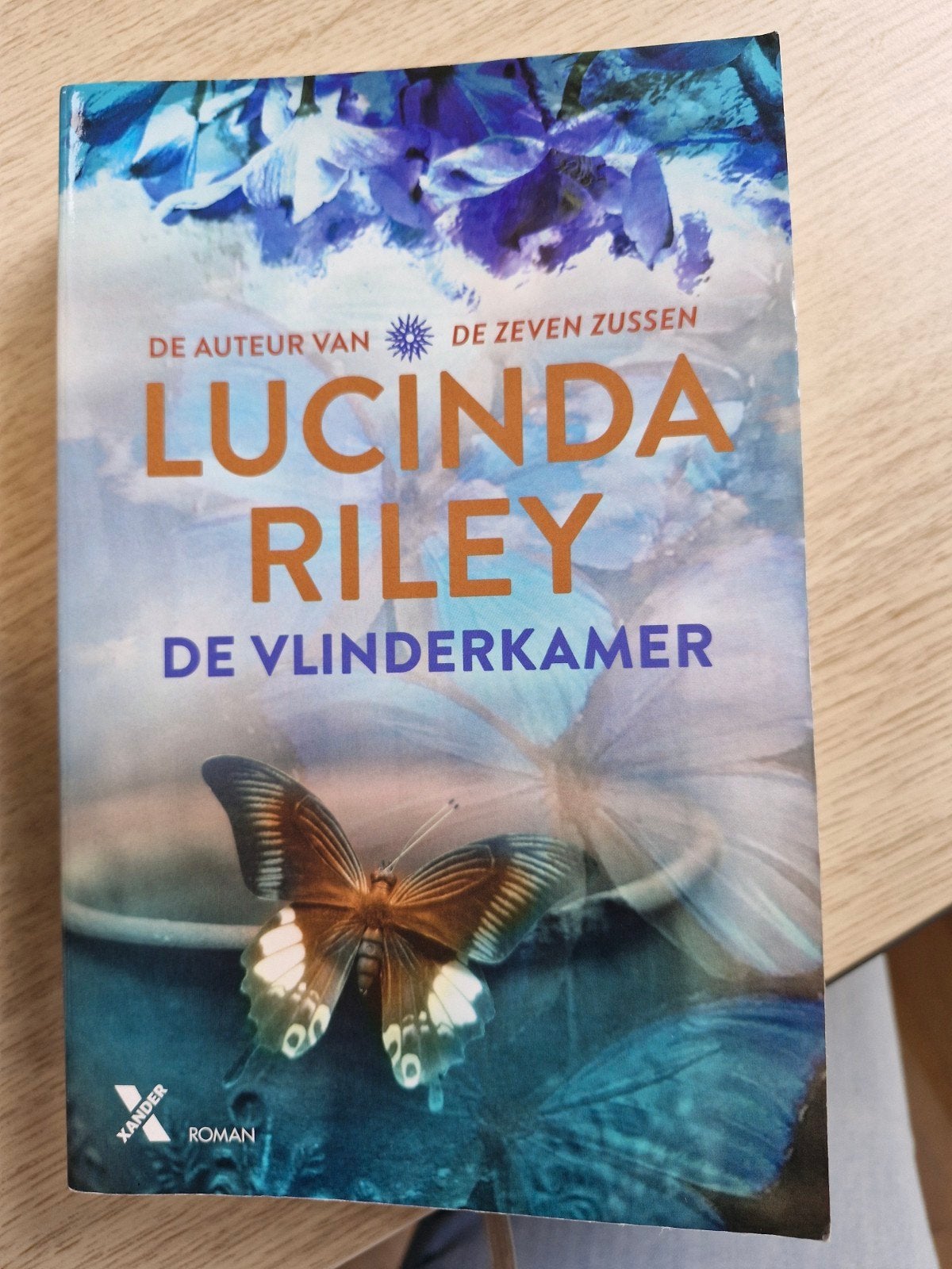 Lucinda Riley - De vlinderkamer, Boeken, Ophalen of Verzenden, Zo goed als nieuw, Lucinda Riley