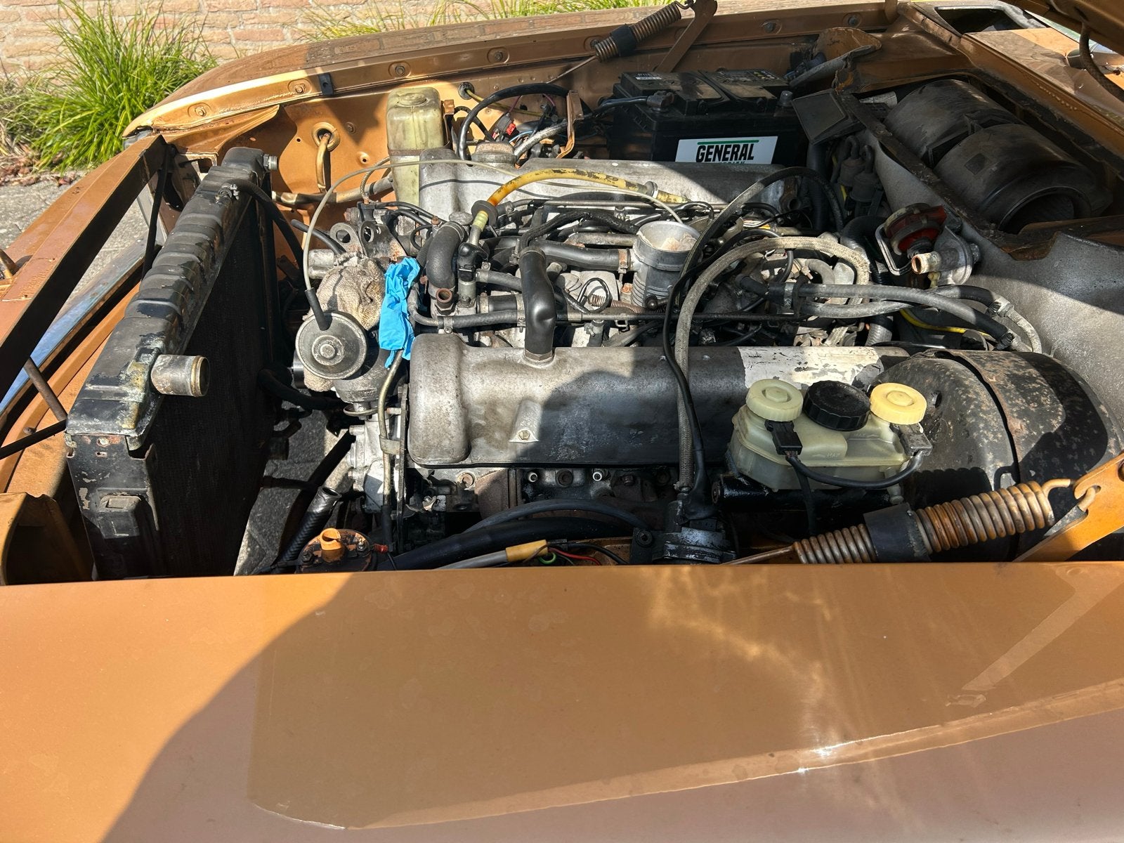 Mercedes-Benz Mercedes 1974 Bruin, foto 6