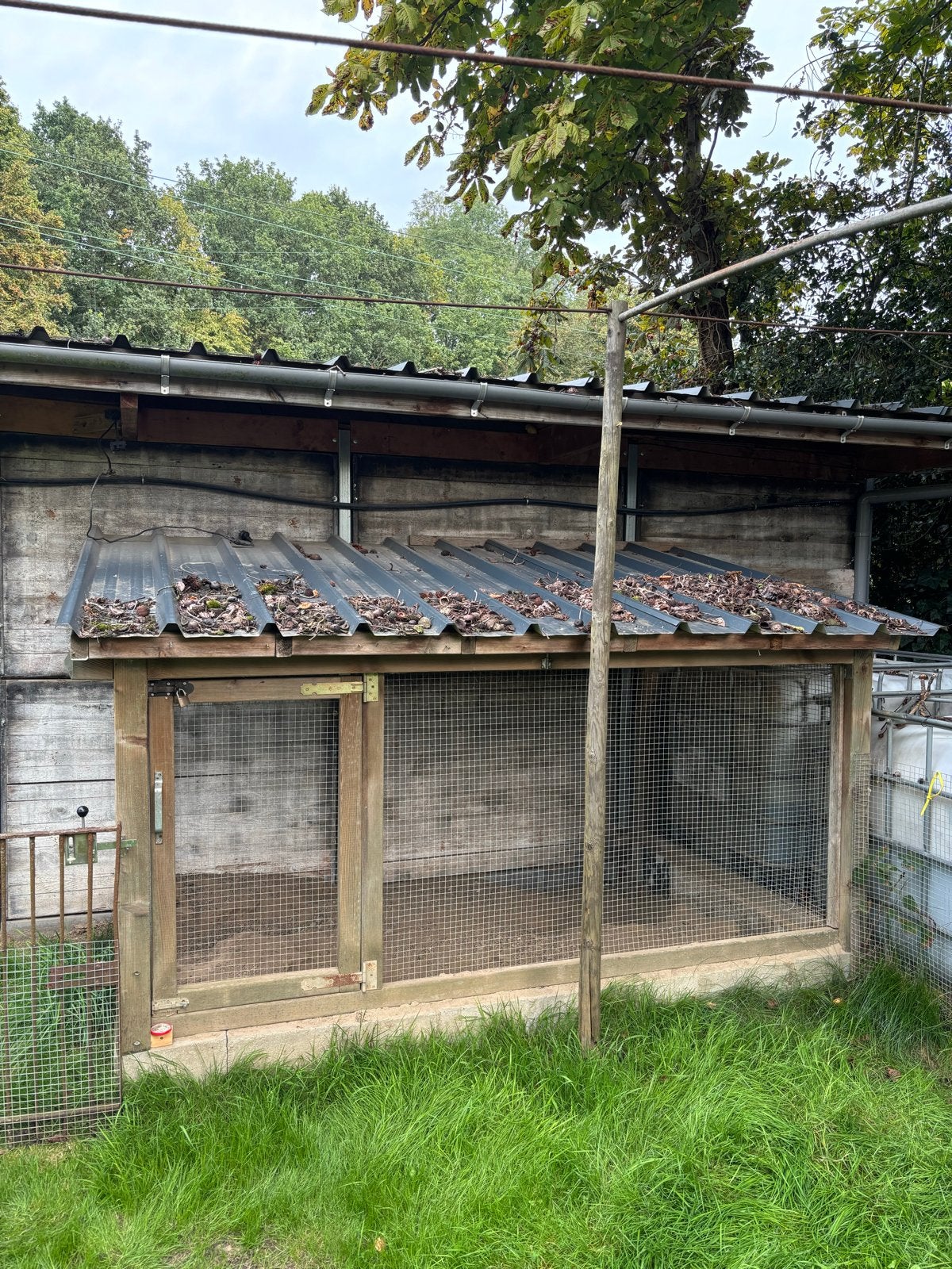 Konijnenhok, Dieren en Toebehoren, Ophalen of Verzenden, 90 cm of meer, Konijn, Hok