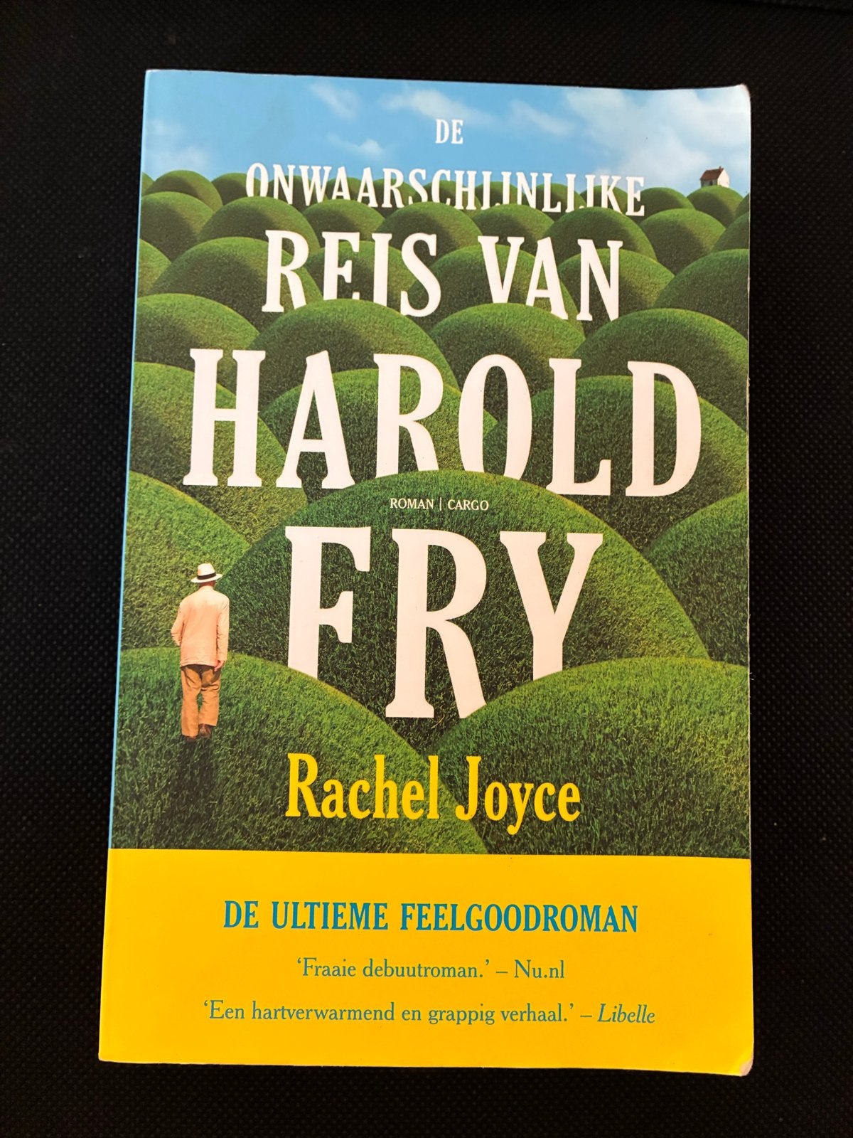 De Onwaarschijnlijke Reis van Harold Fry - Rachel Joyce, Ophalen of Verzenden, Gelezen, Nederland