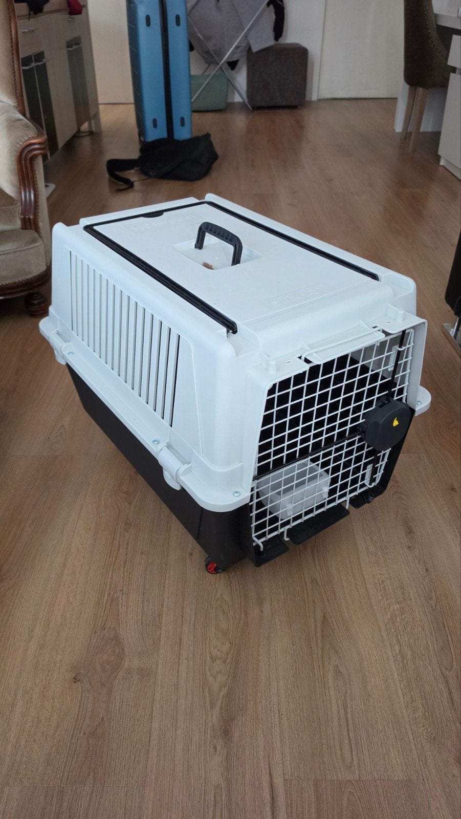 dierentransport box atlas40, Ophalen of Verzenden, Nieuw