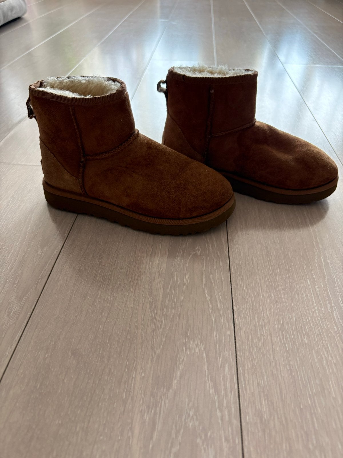 Uggs Chestnut Maat 36 - Gedragen met water vlekken, Ophalen, Gedragen, Bruin, Lage of Enkellaarzen