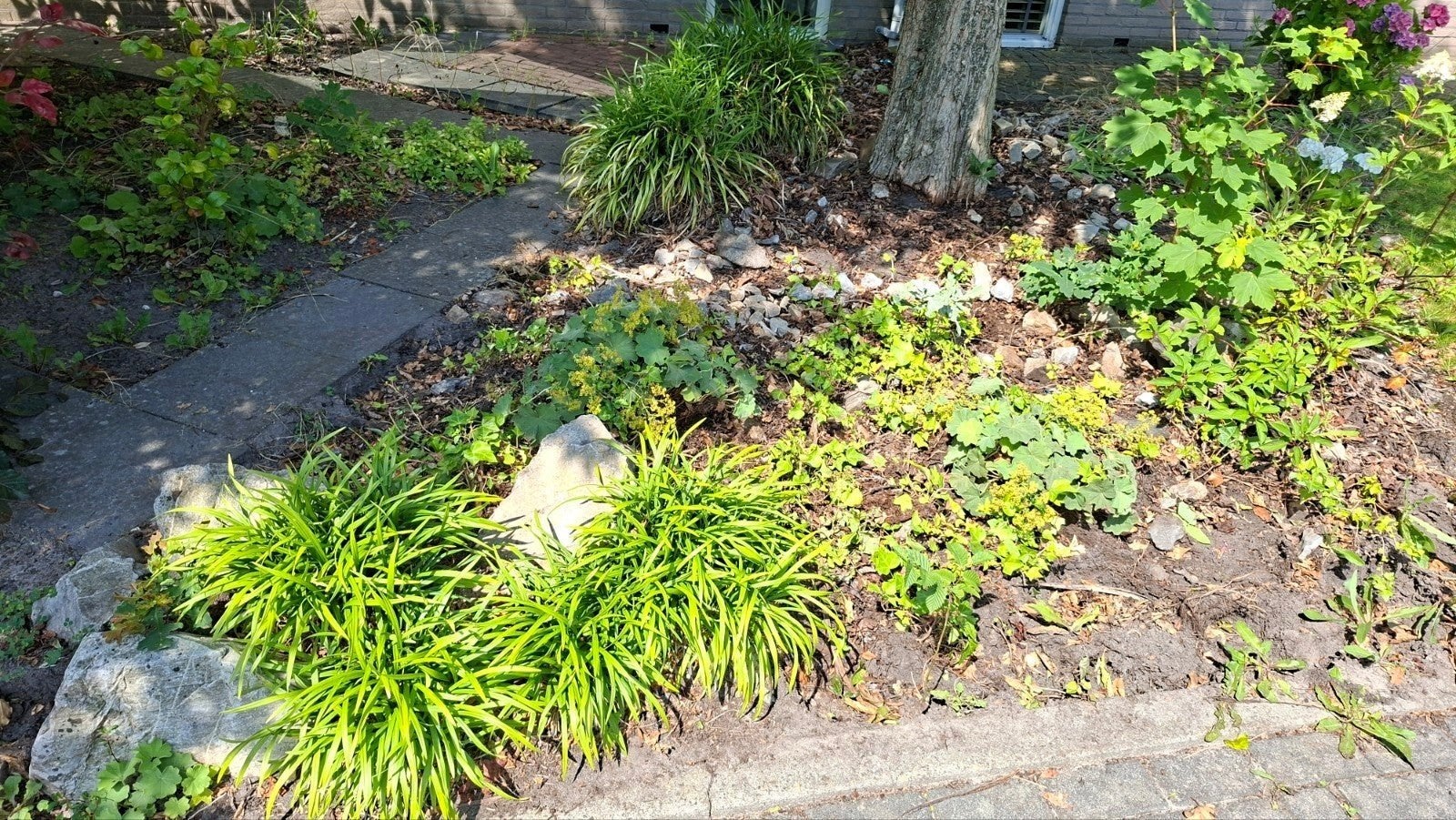 Gratis natuurstenen af te halen uit voortuin, Tuin en Terras, Grind, Keien en Split, Ophalen