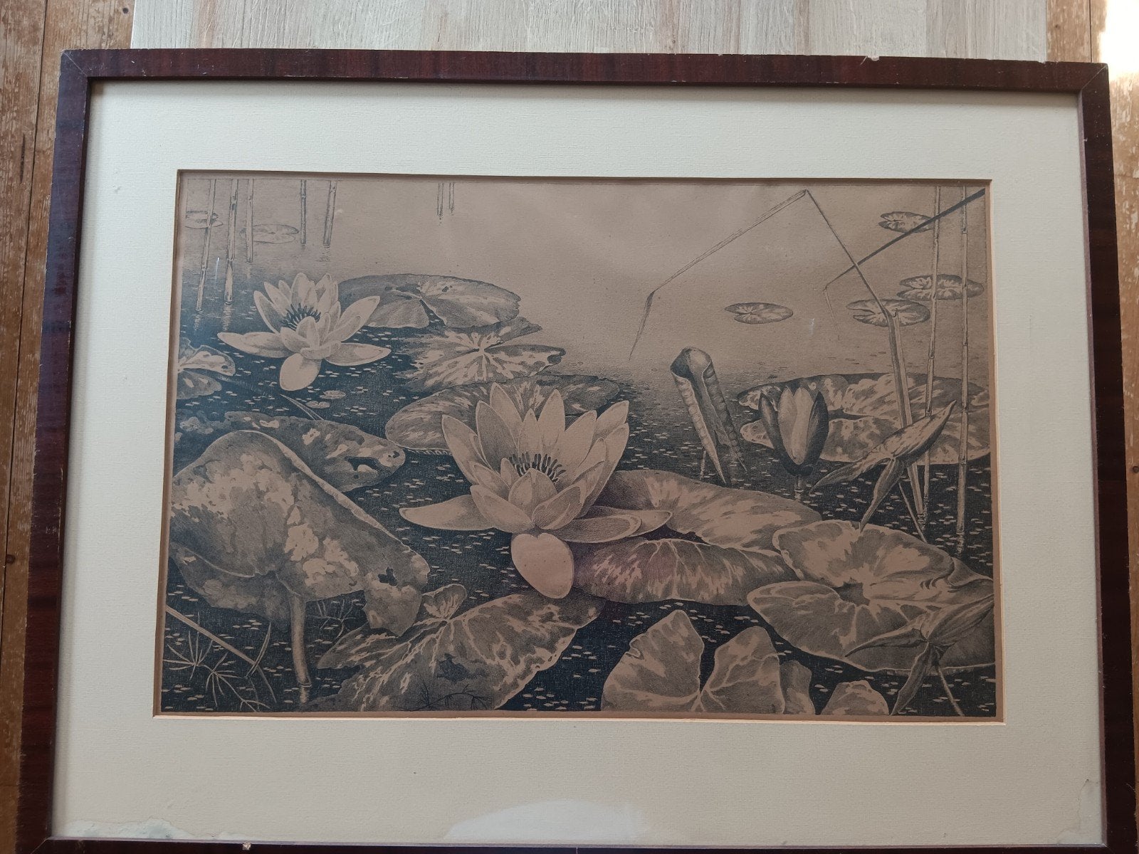 Prachtige gesigneerde ets van waterlelies, Ophalen, Ets, Ingelijst, Flora en Fauna