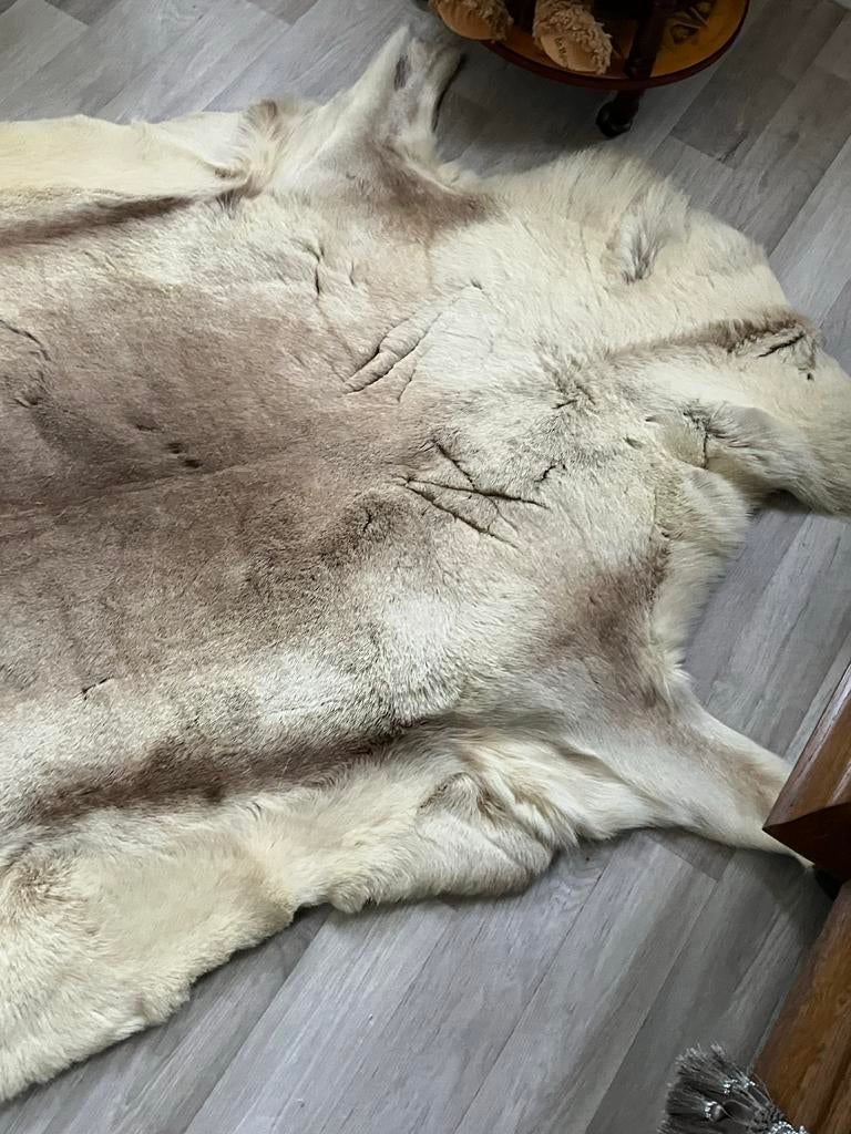 Groot Rendierhuid Vloerkleed - Decoratief en Sfeervol, 100 tot 150 cm, Beige, Ophalen of Verzenden, Zo goed als nieuw