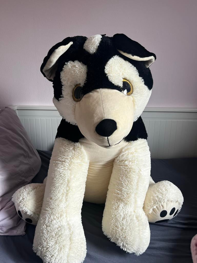Grote Husky Knuffel, Ophalen, Gebruikt, Hond, Meerkleurig