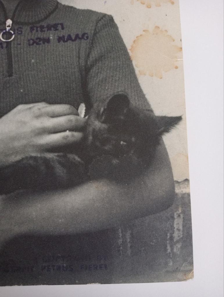 Gerard Fieret fotoprint 2011, Ophalen of Verzenden, 1980 tot heden, Overige onderwerpen