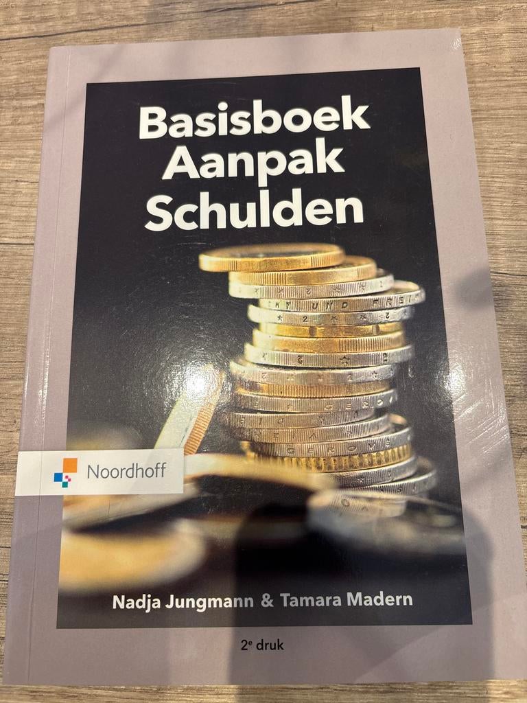 Nadja Jungmann - Basisboek aanpak schulden, Sociale wetenschap, Ophalen of Verzenden, Zo goed als nieuw, Nadja Jungmann; Tamara Madern