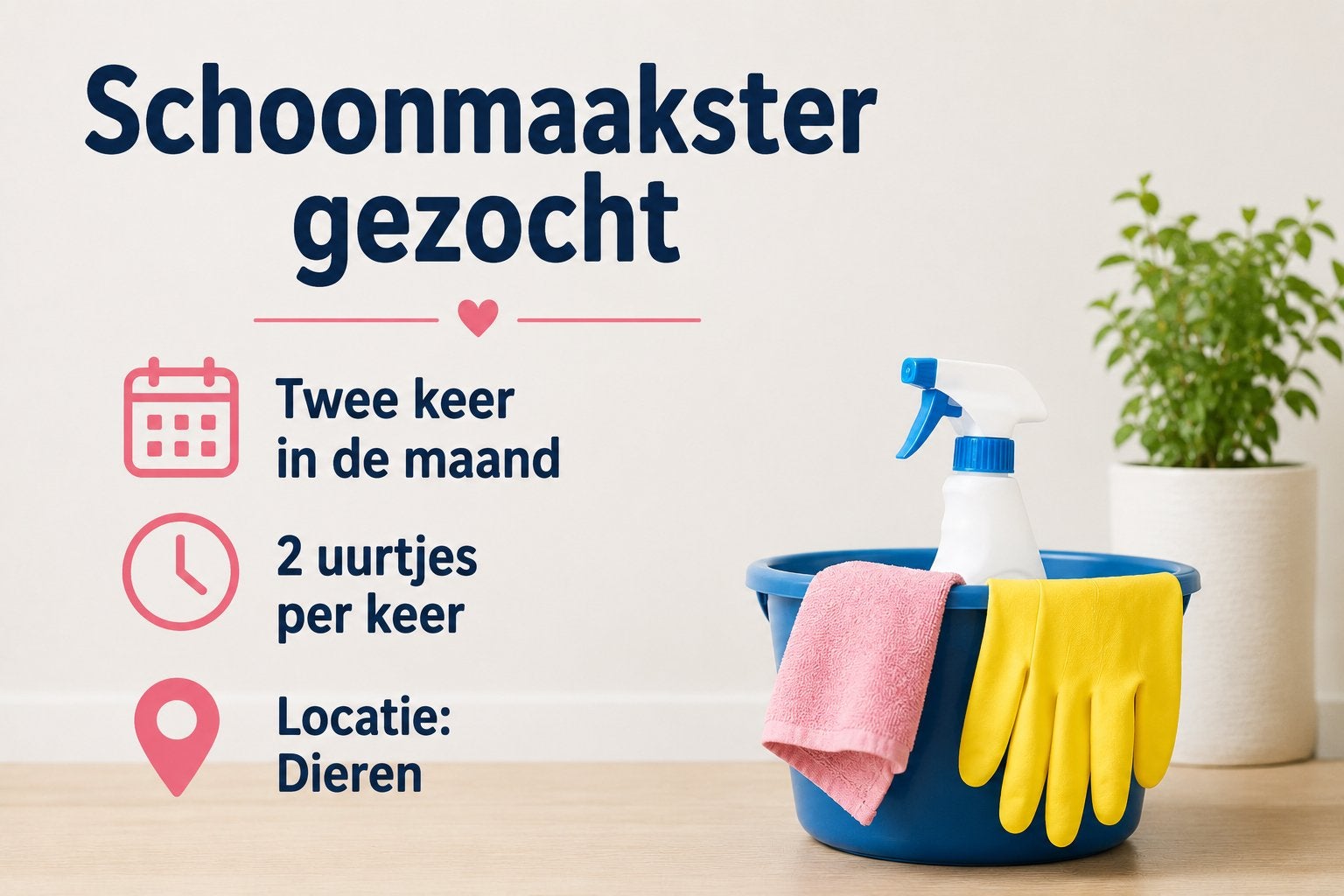 Gezocht schoonmaakster, Overige uren, Overige niveaus, Overige vormen