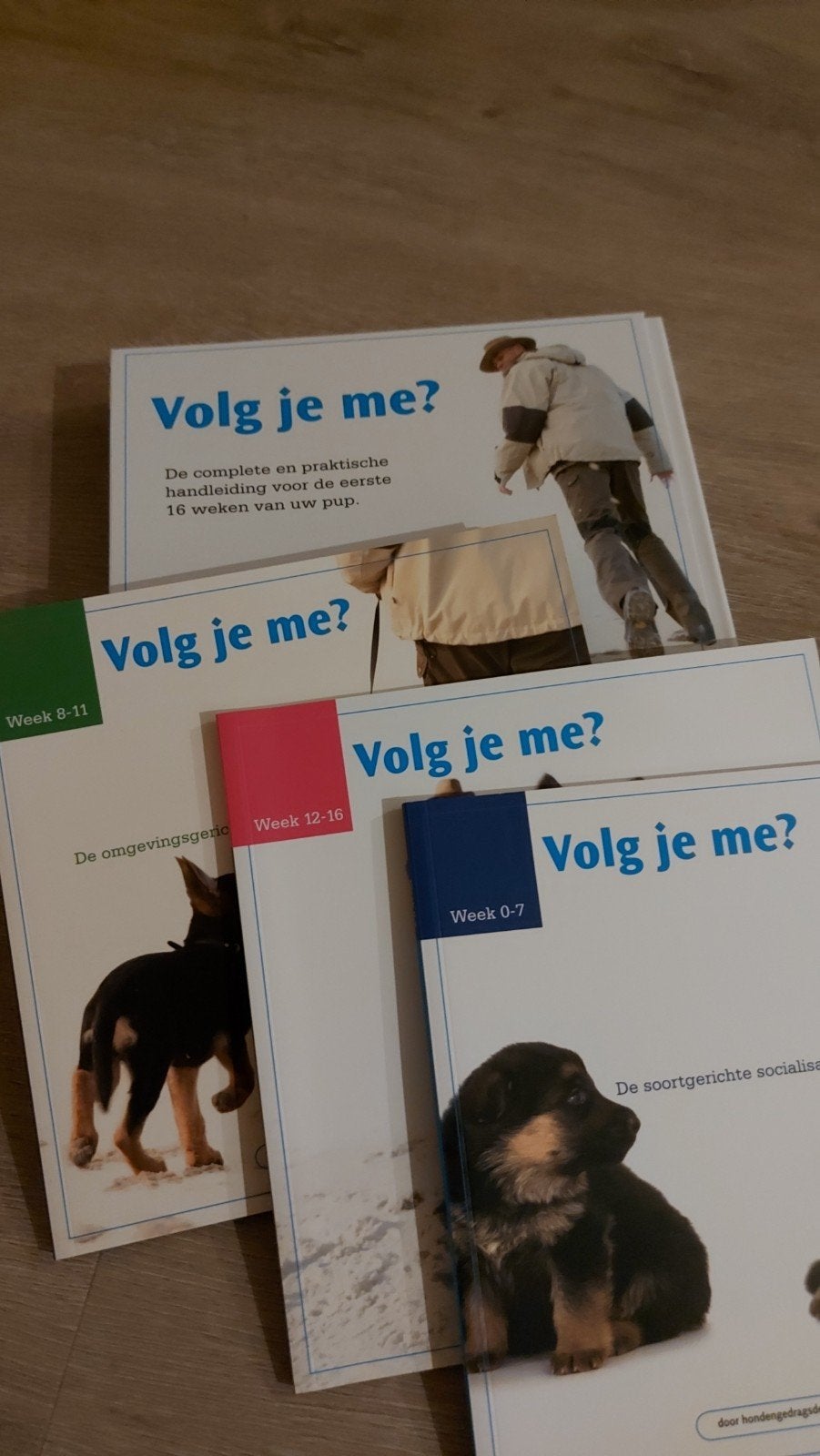 F2: Volg je me? Complete handleiding voor uw pup (0-16 weken, Ophalen of Verzenden, Zo goed als nieuw, Honden, Hondengedragsdeskundige