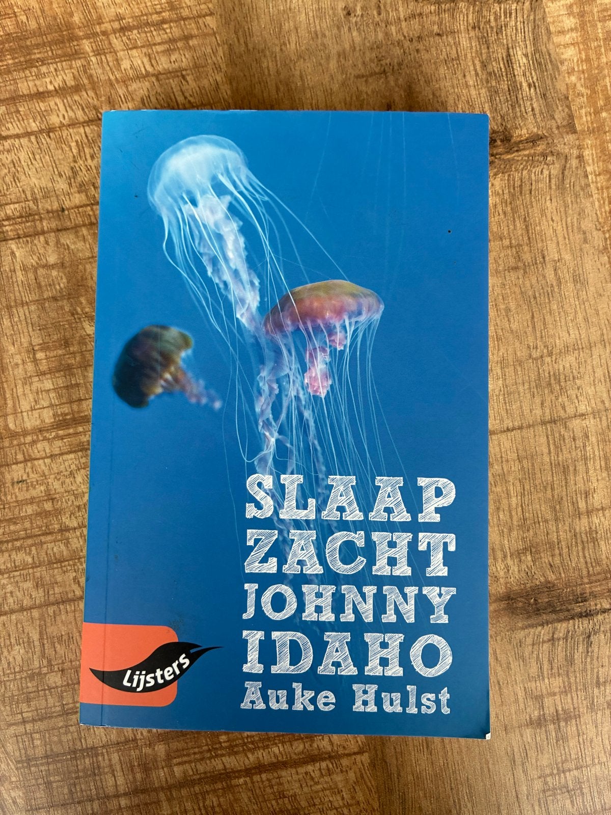 Slaap Zacht Johnny Idaho - Auke Hulst, Ophalen of Verzenden, Zo goed als nieuw, Nederland