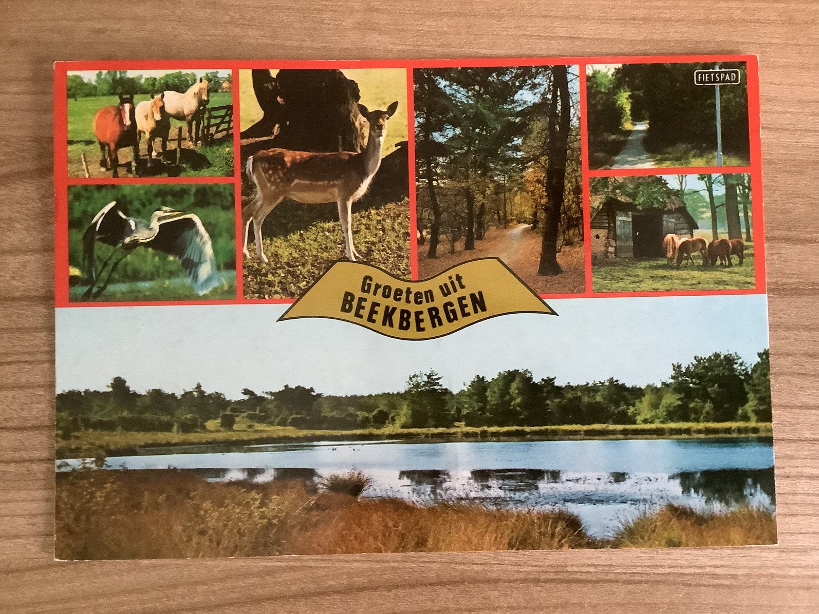 ansichtkaart Beekbergen, Verzenden, Gelopen, Gelderland