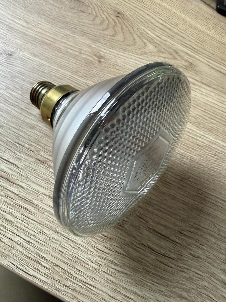 Philips PAR38 EC Flood 30 spots 60W, Ophalen, Gebruikt, Glas, Plafondspot of Wandspot