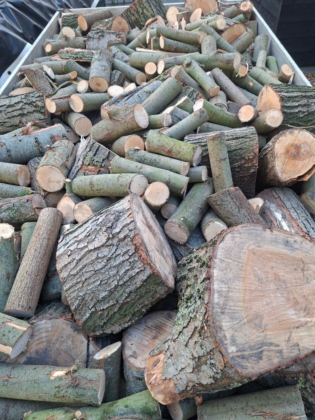 Brandhout, Tuin en Terras, Haardhout, Minder dan 3 m³, Ophalen of Verzenden, Overige houtsoorten, Blokken
