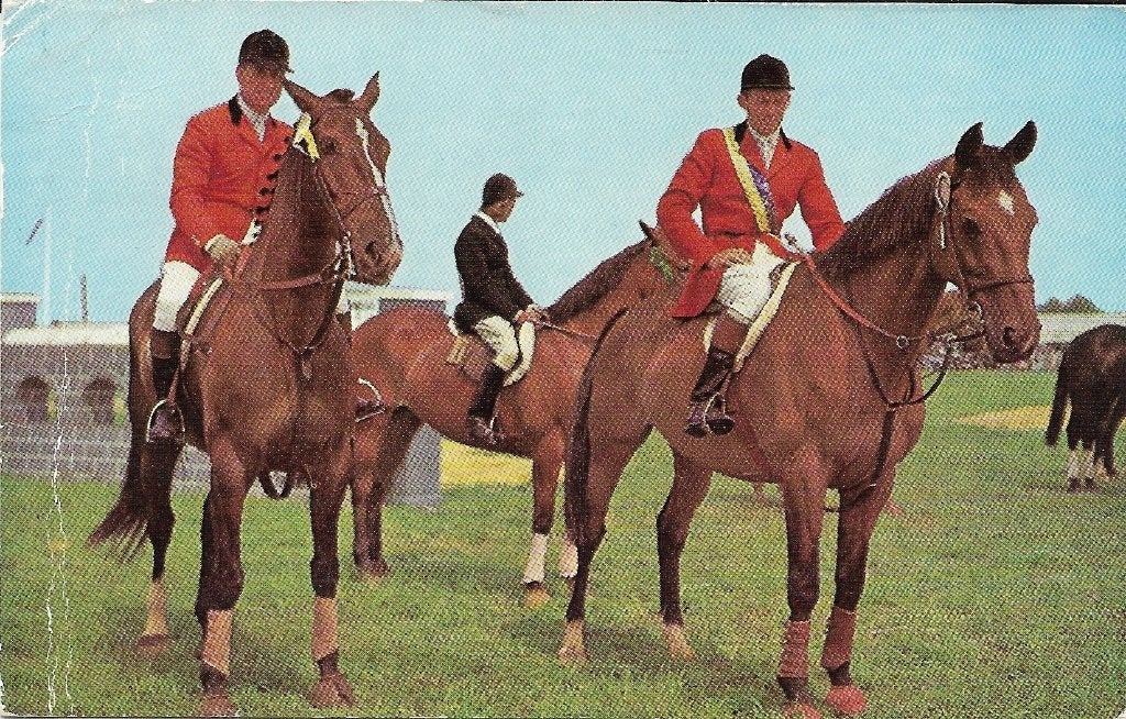 Ansichtkaart  	Ruiters in jachtkostuum	Engeland, Verzamelen, Verzenden, 1960 tot 1980, Gelopen, Paard