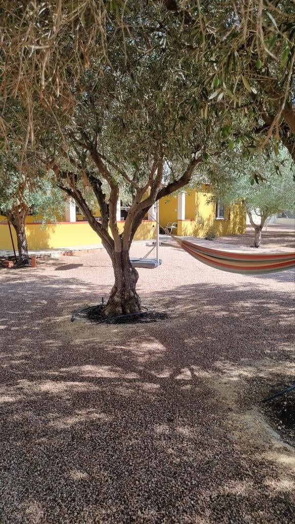 Alicante Costa Blanca in Aspe 9 a 10 pers JUNI 10% korting, 4 of meer slaapkamers, Dorp, Costa Blanca, 10 personen