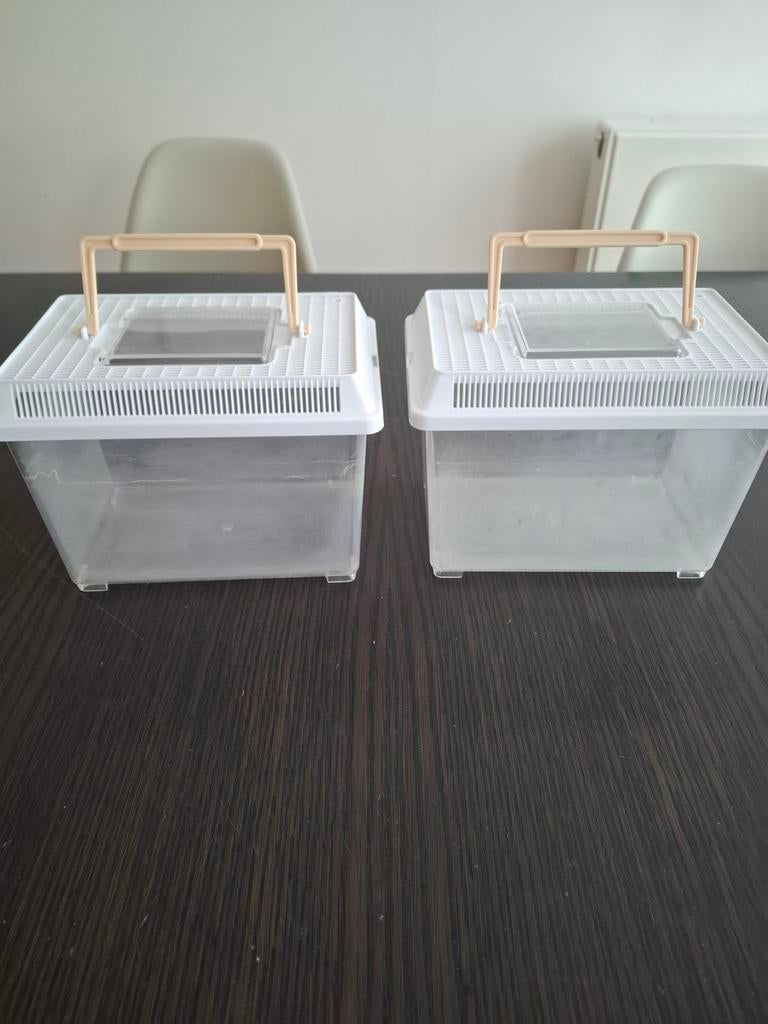 Vissen kom, Dieren en Toebehoren, Ophalen of Verzenden, Kooi-accessoires