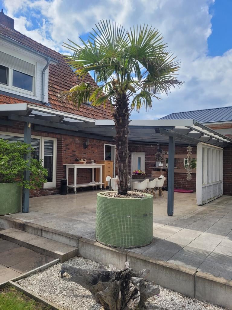 Terrasoverkapping - Geniet van uw buitenruimte, Ophalen, Gebruikt, Veranda