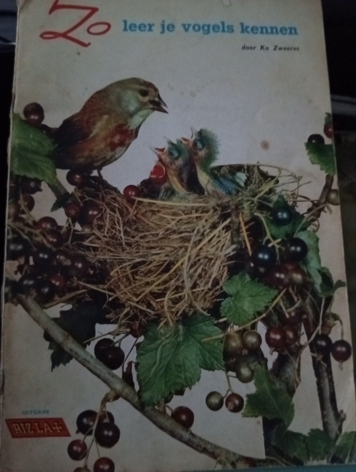Zo leer je vogels kennen - Ko Zweeres (Rizla+ uitgave), Ophalen of Verzenden, Gelezen, Vogels, Ko Zweeres