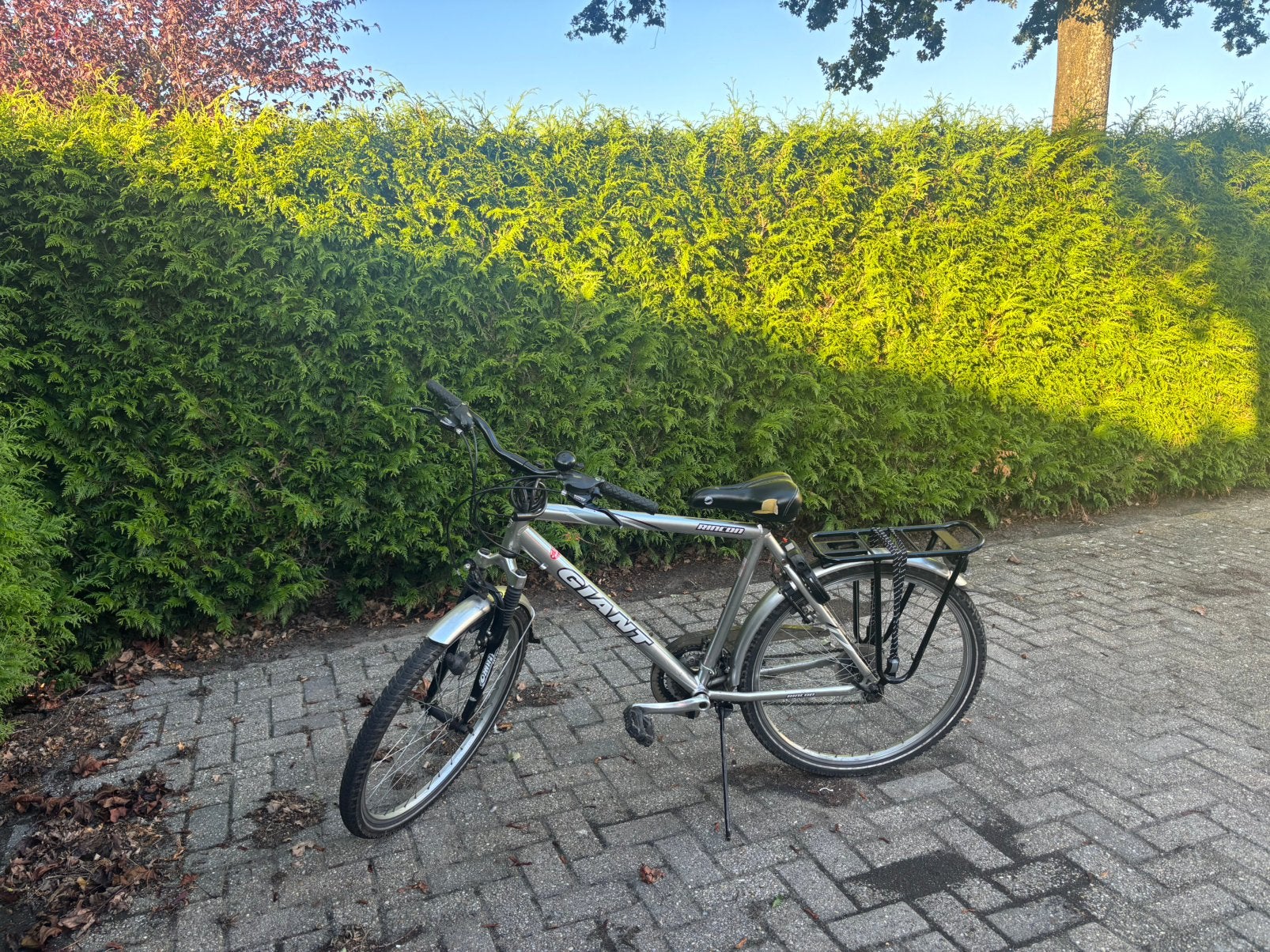 Giant herenfiets, Fietsen en Brommers, Ophalen, Zo goed als nieuw, Meer dan 20 versnellingen, Giant