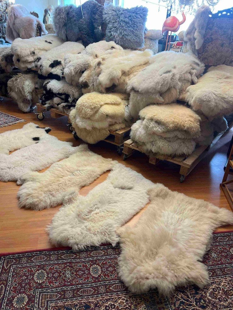 Partij Zachte bergschaap vachten 120/60 cm, 100 tot 150 cm, Etten-Leur, Crème, Nieuw