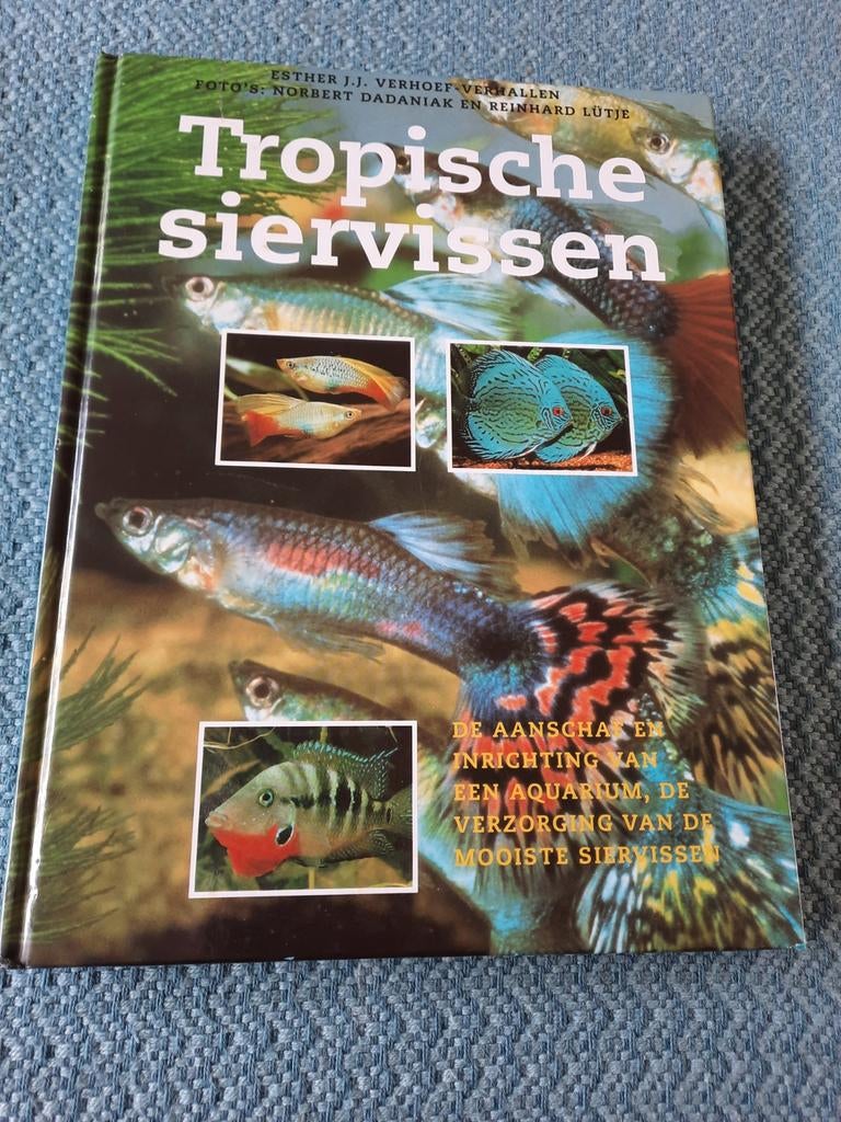 Tropische siervissen - Esther J.J. Verhoef-Verhallen, Ophalen of Verzenden, Zo goed als nieuw, Overige onderwerpen, Esther J.J. Verhoef-Verhallen