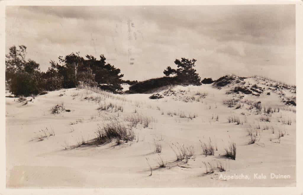 08045 Appelscha - Kale Duinen - gel. 1959, Verzenden, 1940 tot 1960, Gelopen, Friesland