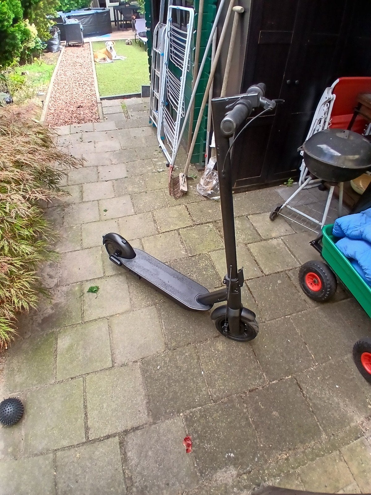 Ninebot g30 max electrishe step, Fietsen en Brommers, Steps, Ophalen, Zo goed als nieuw, Elektrische step (E-scooter), Segway-Ninebot