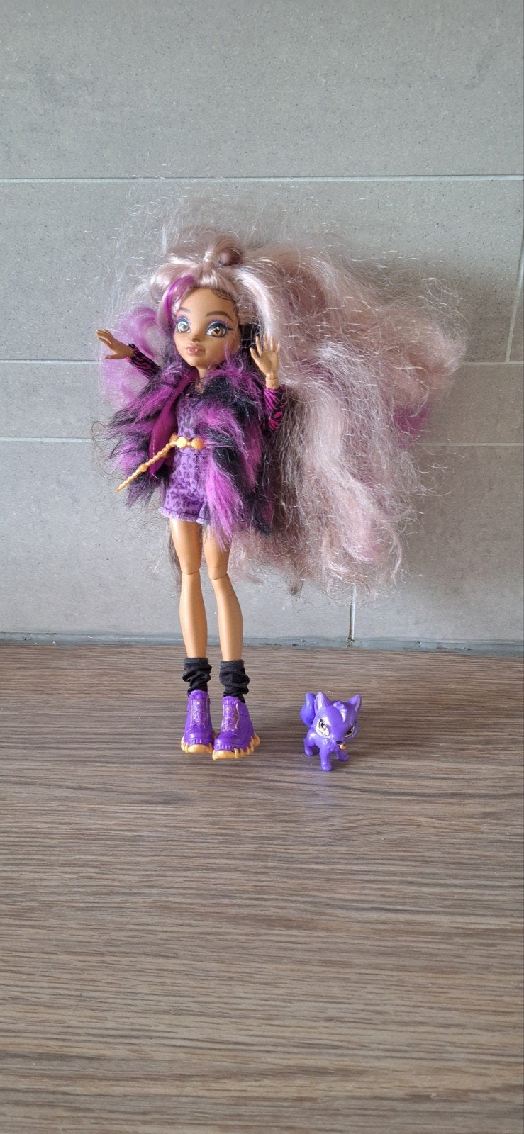 Monster High Clawdeen Wolf pop met accessoires, Ophalen of Verzenden, Gebruikt, Overige typen
