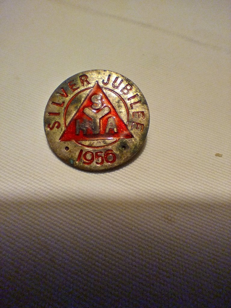 pin, speldje, Verzamelen, Ophalen of Verzenden, Gebruikt, Overige onderwerpen