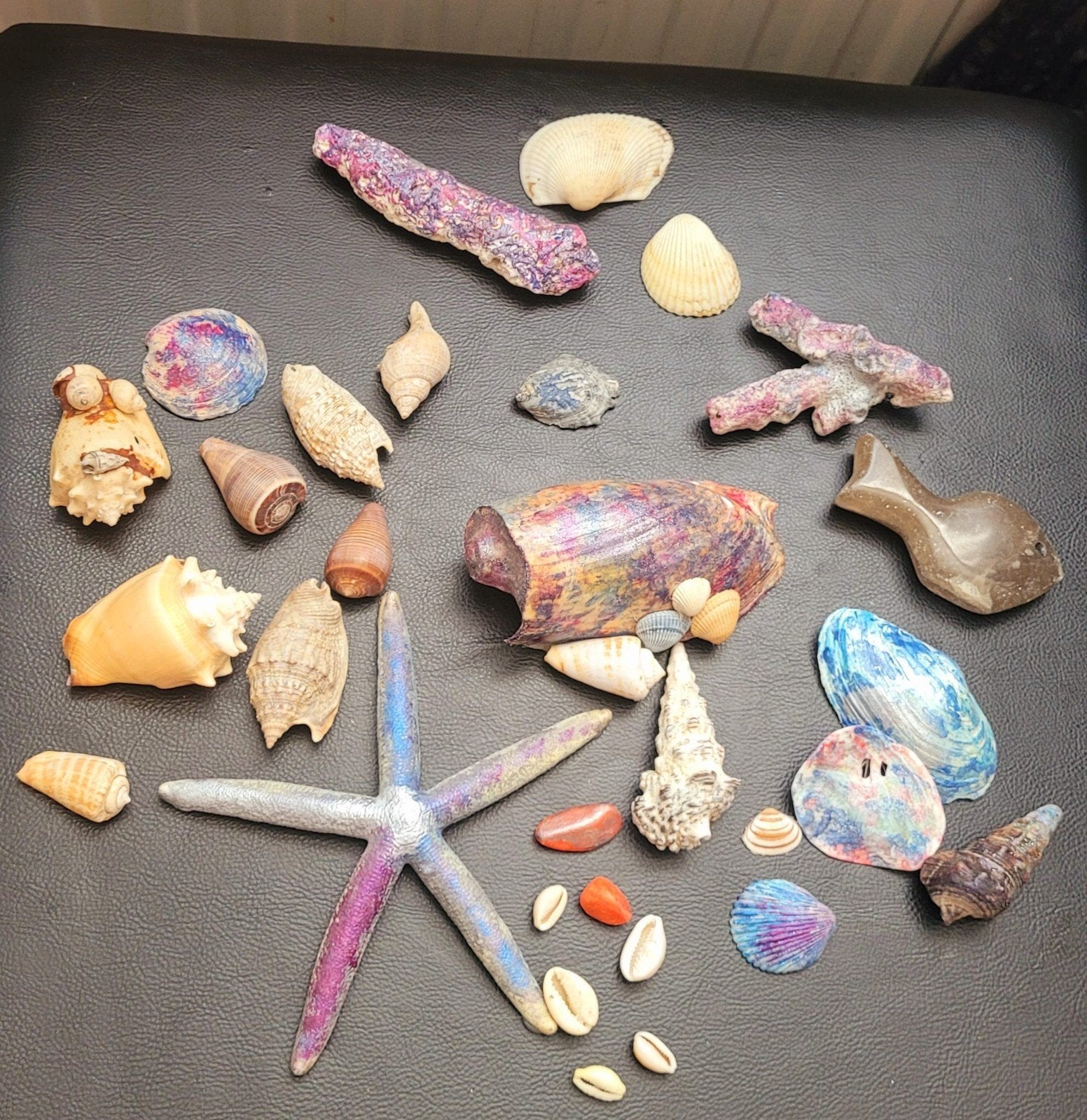 Diverse schelpen en zeester decoratie set, Ophalen of Verzenden, Zo goed als nieuw