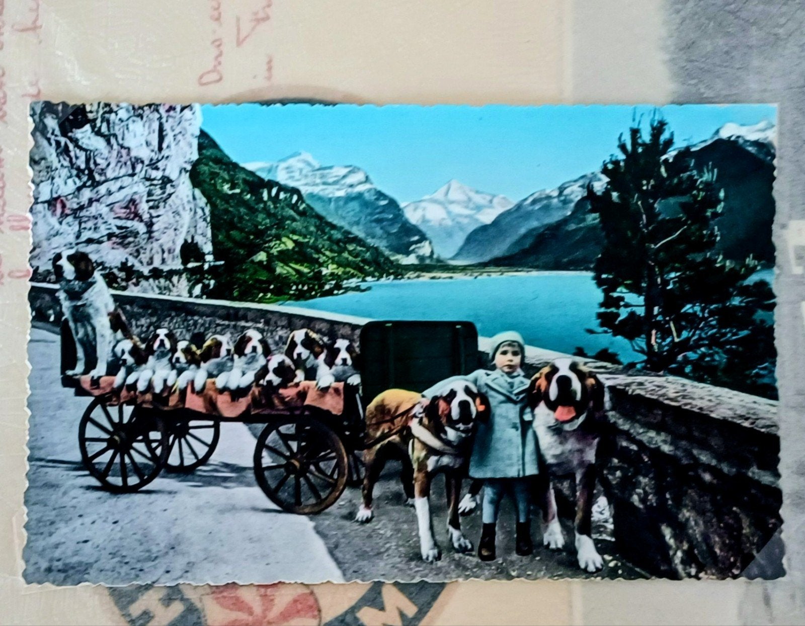 Prachtig Vintage Reisalbum 1958, Ophalen, 1940 tot 1960, Overig Europa
