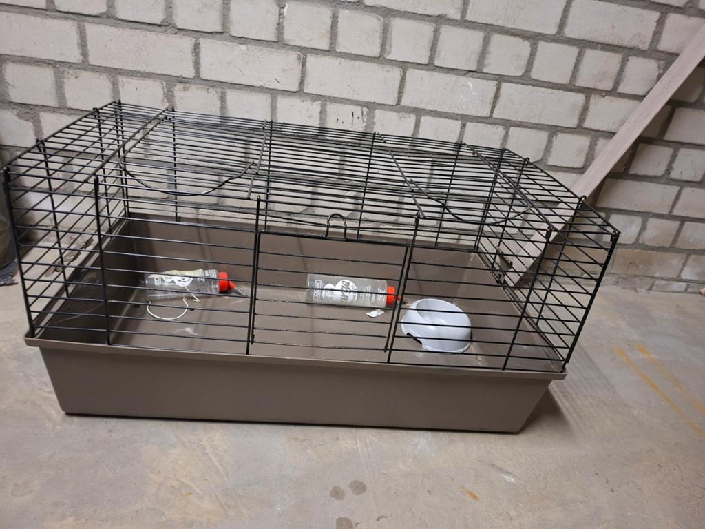 Binnenkooi konijn/cavia, incl reismandje, Minder dan 60 cm, Kooi, Minder dan 75 cm, Ophalen of Verzenden