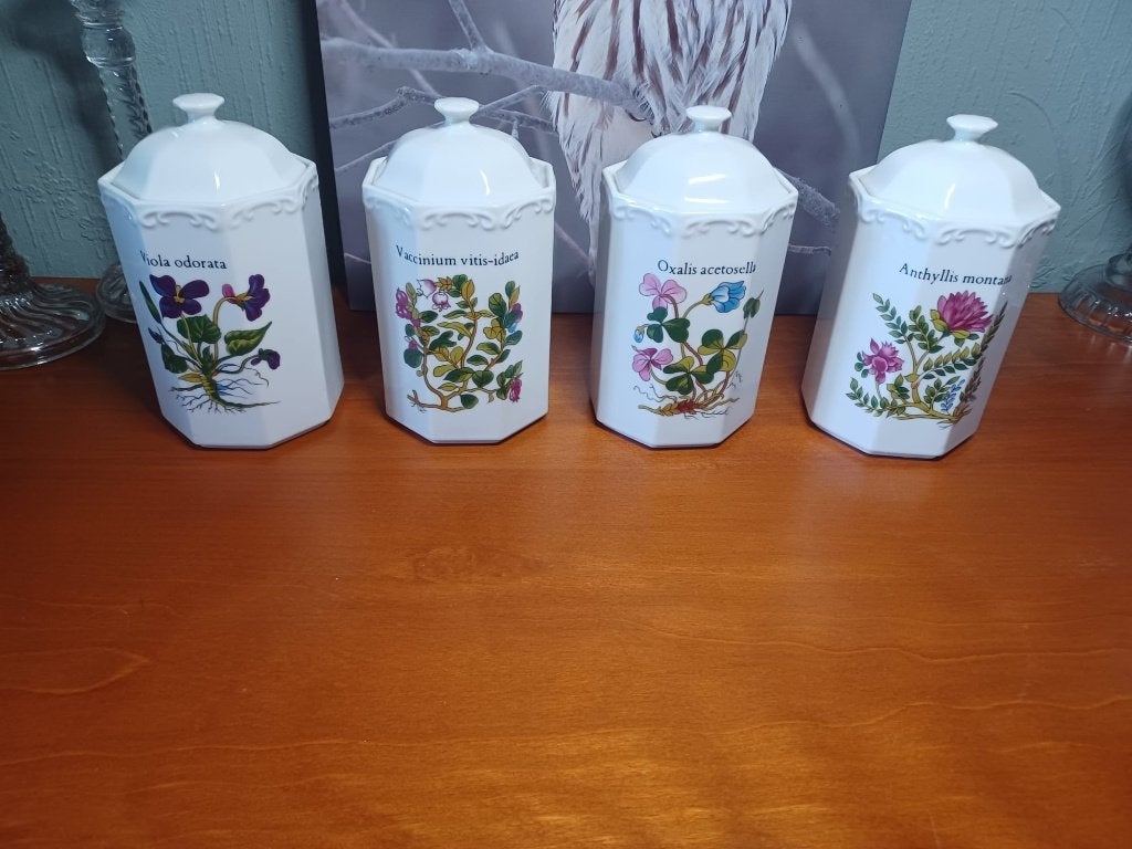 4x Grote vintage botanische voorraadpotten, Antiek en Kunst, Ophalen of Verzenden