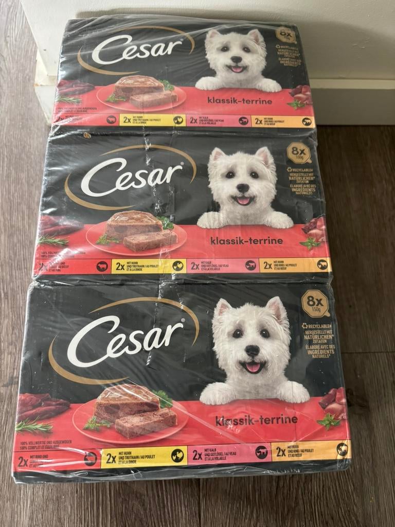 Cesar classic terrine hondenvoer, Ophalen, Hond