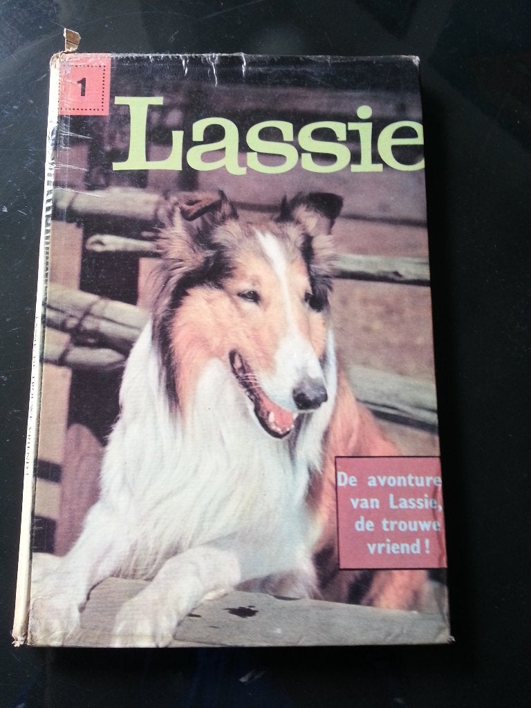 Boek lassie, Ophalen of Verzenden, Fictie algemeen