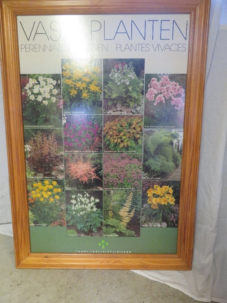 Bloemenposter in houten lijst, Ophalen, Gebruikt, Handgemaakt, Ingelijst werk
