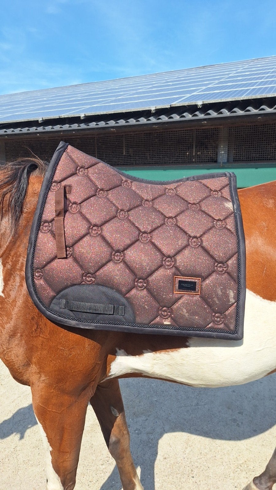 Equestrian Stockholm Mahogany Glimmer, Full (L), Dressuurdekje, Equestrian Stockholm, Ophalen of Verzenden