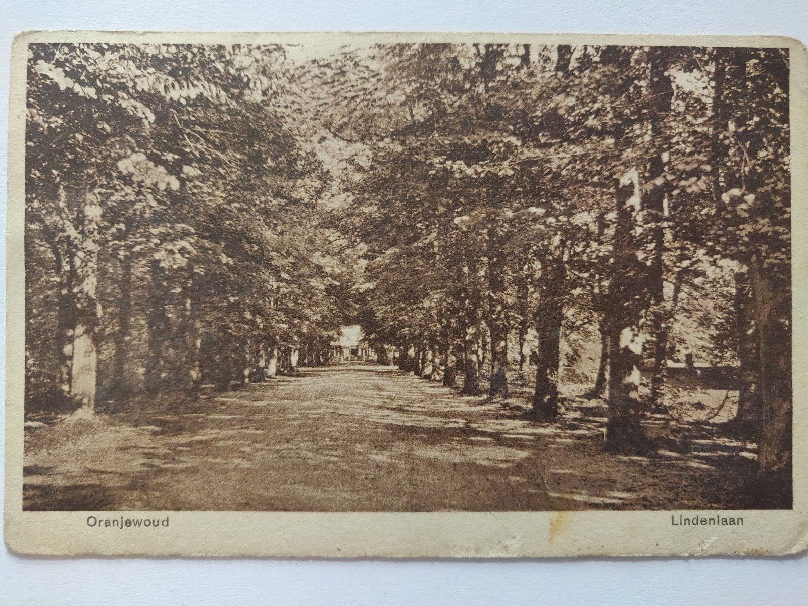 C1036 Oranjewoud, Ophalen of Verzenden, 1920 tot 1940