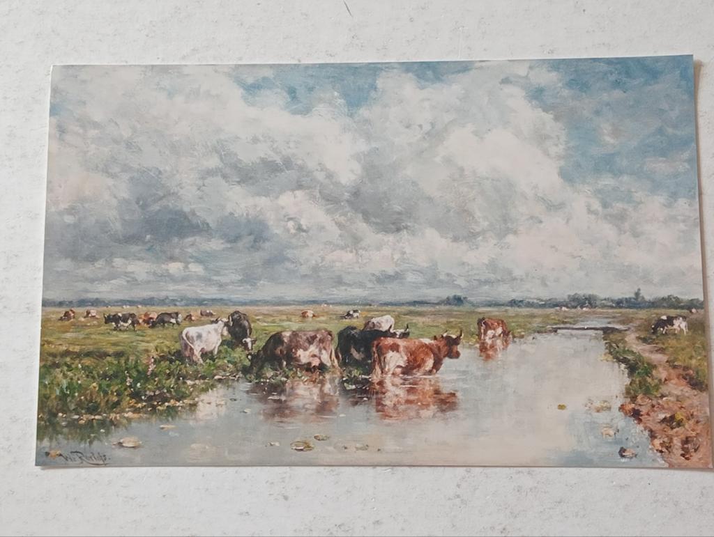 Willem Roelofs galerie persfoto 'Weide met Vee', Ophalen of Verzenden