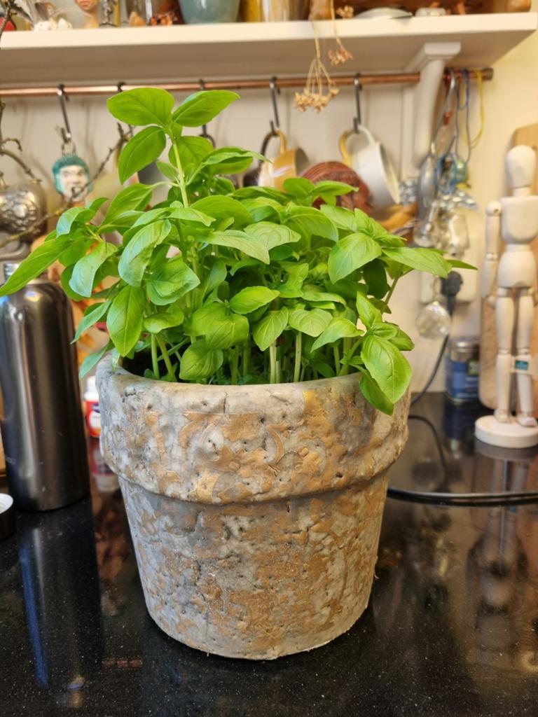 Decoratieve bloempot, Rond, Ophalen of Verzenden, Aardewerk, Minder dan 40 cm