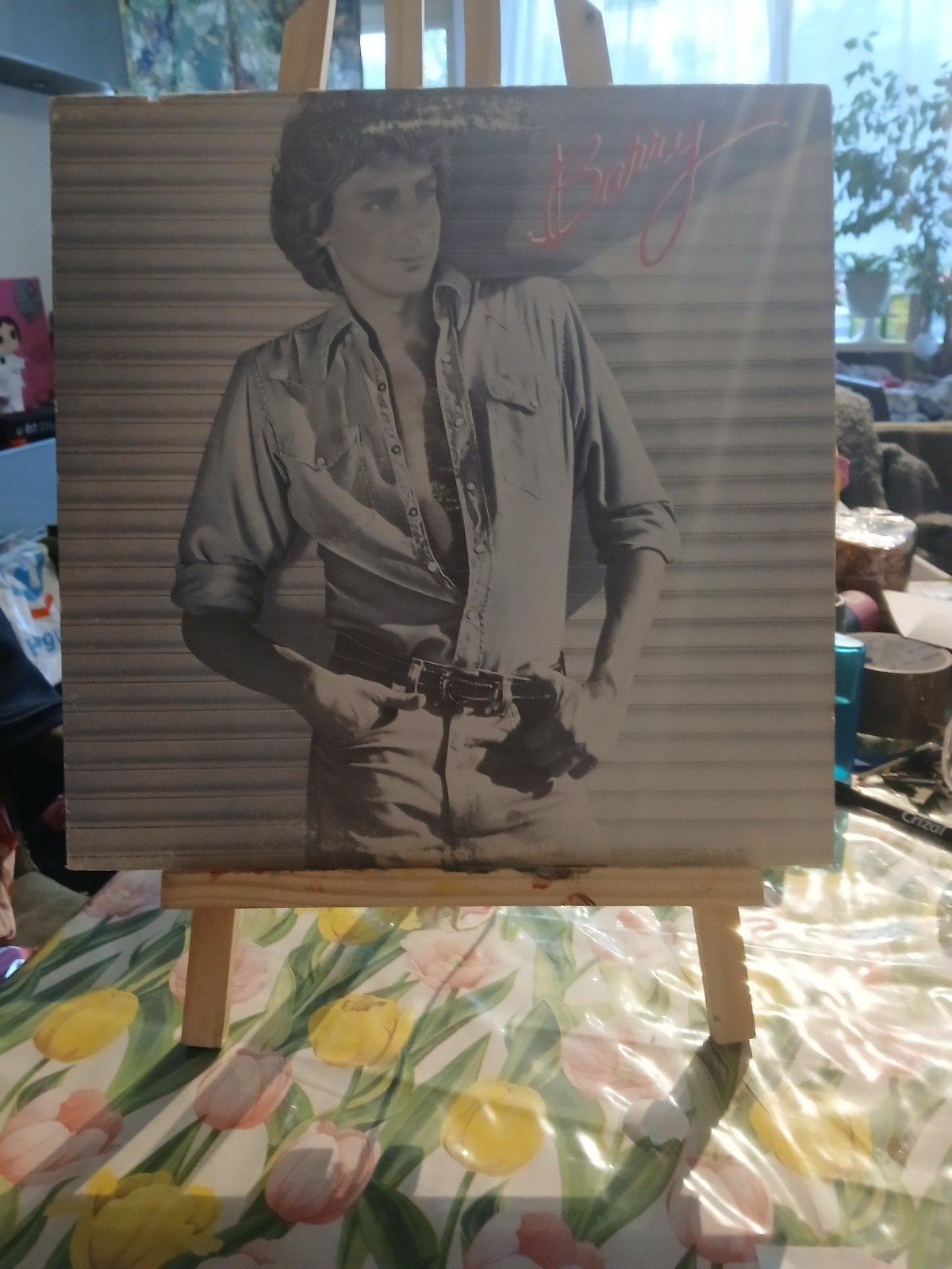 Barry Manilow - Barry (LP), LP, Gebruikt, Pop, Ophalen of Verzenden