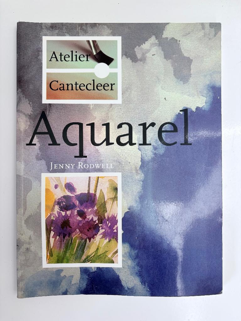 BOEKEN AQUARELLEREN VAN ALLES WAT ......., Hobby en Vrije tijd, Schilderen, Ophalen of Verzenden, Gebruikt, Schilderen op nummer