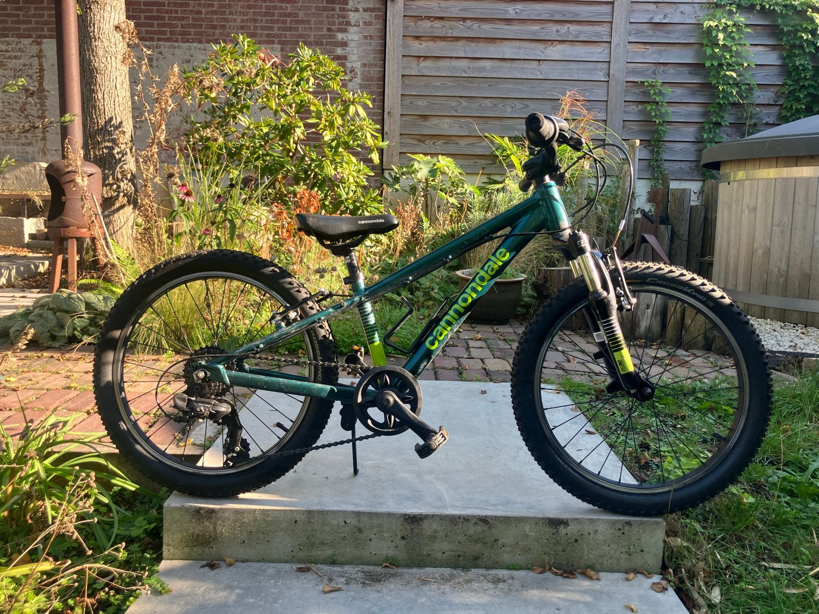 Cannondale Trail 20 kindermountainbike, Gebruikt, Hardtail, Velgrem, Ophalen